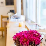 Jazira Bed and breakfast