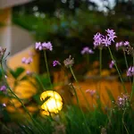 Bed and breakfast Jazira 4*