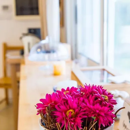 Jazira Bed & Breakfast