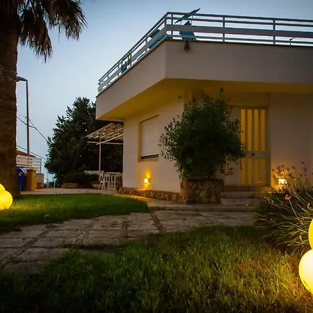 Jazira * Scoglitti